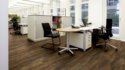 Project Floors vinyl flooring - floors@work55 PW 3811-/55
