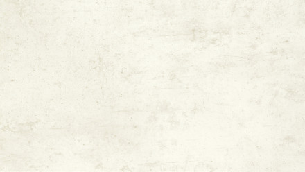 Plastic wall cladding - planeo StrongWall - Light Cement