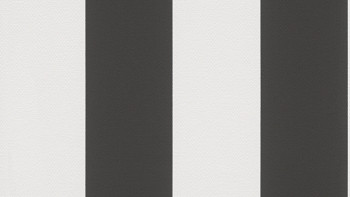 Vinyl wallpaper Black & White 4 A.S. Création Modern Black White 213