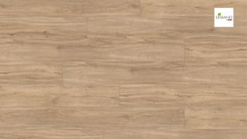 Haro Organic Flooring - Disano ClassicAqua Sand oak (543732)