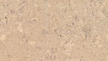 Wicanders cork flooring for gluing - Pure Personality Timide (80002529)