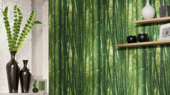 Paper wallpaper Authentic Walls 2 A.S. Création Modern Green 718