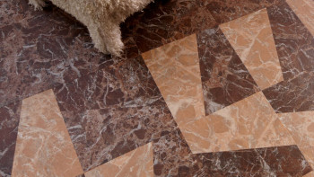 Forbo Allura Material 55 Adhesive Vinyl - Peach Marble Trapezoid (63788DR5)