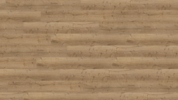 Wineo adhesive vinyl - 400 wood XL Comfort Oak Nature | Synchronised embossing (DB291WXL)