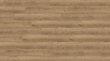 Wineo Multilayer Vinyl - 400 wood XL Comfort Oak Nature | integrated impact sound insulation (MLD291WXL)