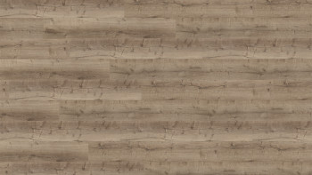 Wineo adhesive vinyl - 400 wood XL Comfort Oak Taupe | Synchronised embossing (DB300WXL)