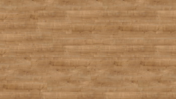 Wineo organic flooring for gluing - 1200 wood XL Hello Martha