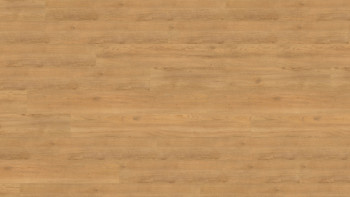 Wineo organic flooring for gluing - 1200 wood XL Lets go Max