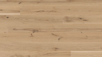 Parador Engineered Wood Flooring Basic 11-5 Oak brushed natural oiled white Micro 4V bevel