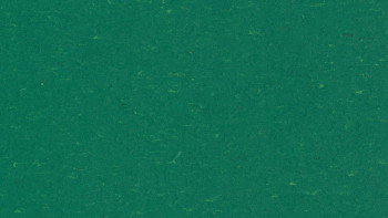 Forbo Linoleum Marmoleum Uni Piano - greenwood 3649