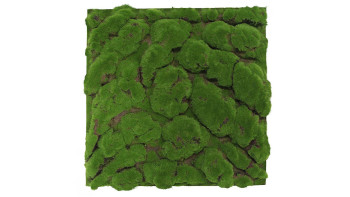 planeo acoustic panel - MixWall Moss Mood Forest Green Big Bulk 52 x 52 cm | Art Moss (PLMW-00211C)