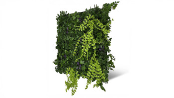 planeo acoustic panel - MixWall Leaf Mood Cascade Mixed Flora 52 x 52 cm | artificial plant (PLMW-10121A)