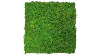 planeo acoustic panel - MixWall Moss Mood Light Green Fibre 52 x 52 cm | Art Moss (PLMW-10211C)