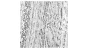 planeo acoustic panel - MixWall Mineral Mood Polar Marble 52 x 52 cm | real stone (PLMW-10411C)
