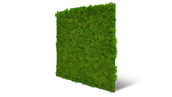 planeo acoustic panel - MixWall Living Moss Bright Green 52 x 52 cm | natural moss (PLMW-20111)
