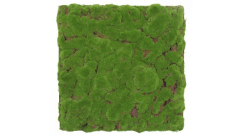 planeo acoustic panel - MixWall Moss Mood Forest Green Bulk 52 x 52 cm | Art Moss (PLMW-20211C)