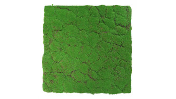 planeo acoustic panel - MixWall Moss Mood Forest Green 52 x 52 cm | artificial moss (PLMW-30121A)