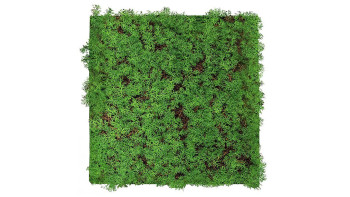 planeo acoustic panel - MixWall Living Leaf Thuja Tea Tree 52 x 52 cm | natural plant (PLMW-50111)