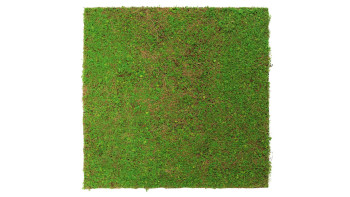 planeo acoustic panel - MixWall Living Leaf Light Green Coconut 52 x 52 cm | natural plant (PLMW-60111)