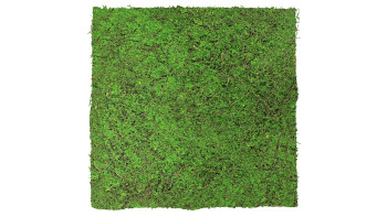 planeo acoustic panel - MixWall Living Leaf Forest Green Ancient Tree 52 x 52 cm | natural plant (PLMW-70111)