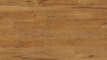 Project Floors adhesive Vinyl - floors@work55 PW 3841/55 (PW384155)