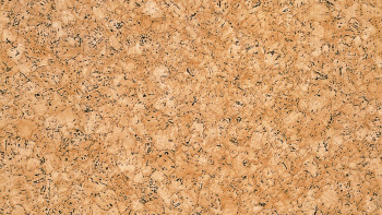 Gerflor PVC floor - BOOSTER CORK NATUREL - 0027