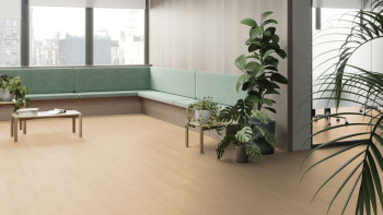 Gerflor click Vinyl - Virtuo 55 Rigid Acoustic EIR Blomma Clear | integrated impact sound insulation (39061462)