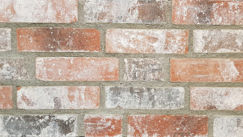 planeo StoneWall Solid clinker brick slips TON - Rustic Charm