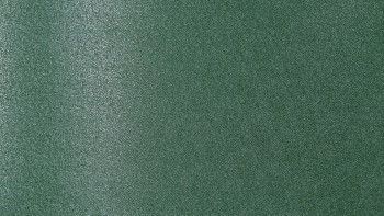 PE Privacy Strip Green 50 m Roll