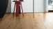 Haro Laminate Flooring Tritty 100 Silent CT Oak Portland natural 4V Wideplank