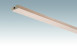 MEISTER skirting boards ceiling trims beech pure 4094 - 2380 x 40 x 15 mm