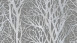 Vinyl wallpaper Life 4 A.S. Création Modern Knots Grey Metallic 943