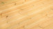 planeo sauna house de luxe Yurika natural finish