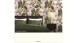 Wallpaper Dream Again Michalsky Living Flowers Palm Leaves Green Pink White 181