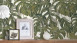 Wallpaper Dream Again Michalsky Living Palm Leaves Grey Green White 192