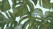 Wallpaper Dream Again Michalsky Living Palm Leaves Blue Green 193