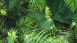 Vinyl wallpaper design panel green modern flowers & nature images pop.up panel 3D 441