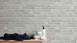vinyl wallcovering stone wallpaper grey modern classic stones trendwall 601