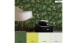 Vinyl wallpaper Greenery A.S. Création Modern Green 802