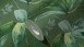 Vliestapete Jungle Chic Blumen & Natur Retro Grün 42
