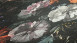 Vinyltapete Mata Hari Blumen & Natur Vintage Bunt 951