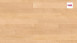 Haro Engineered Wood Flooring Series 4000 Canadian Maple Striking Plank