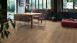 Haro Organic Flooring - Disano Saphir Field oak (537242)