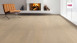 Haro Parquet Flooring - Serie 4000 2V permaDur Oak sand gray Markant (538942)