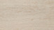 planeo Laminate - Beiz Eiche | Authentic appearance (LAM-6666)