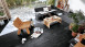 MEISTER Bio-Click Design Floor - MeisterDesign flex DB 400 Black Lava 7323