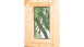 planeo sauna barrel Premium Svenja 1 thermo-wood kit