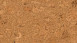 Wicanders cork flooring for gluing - Pure Shell Natural (80000294)