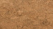 Wicanders cork flooring for gluing - Pure Symphony Natural (80000344)