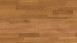 planeo engineered wood - oak golden brown lively natural oiled